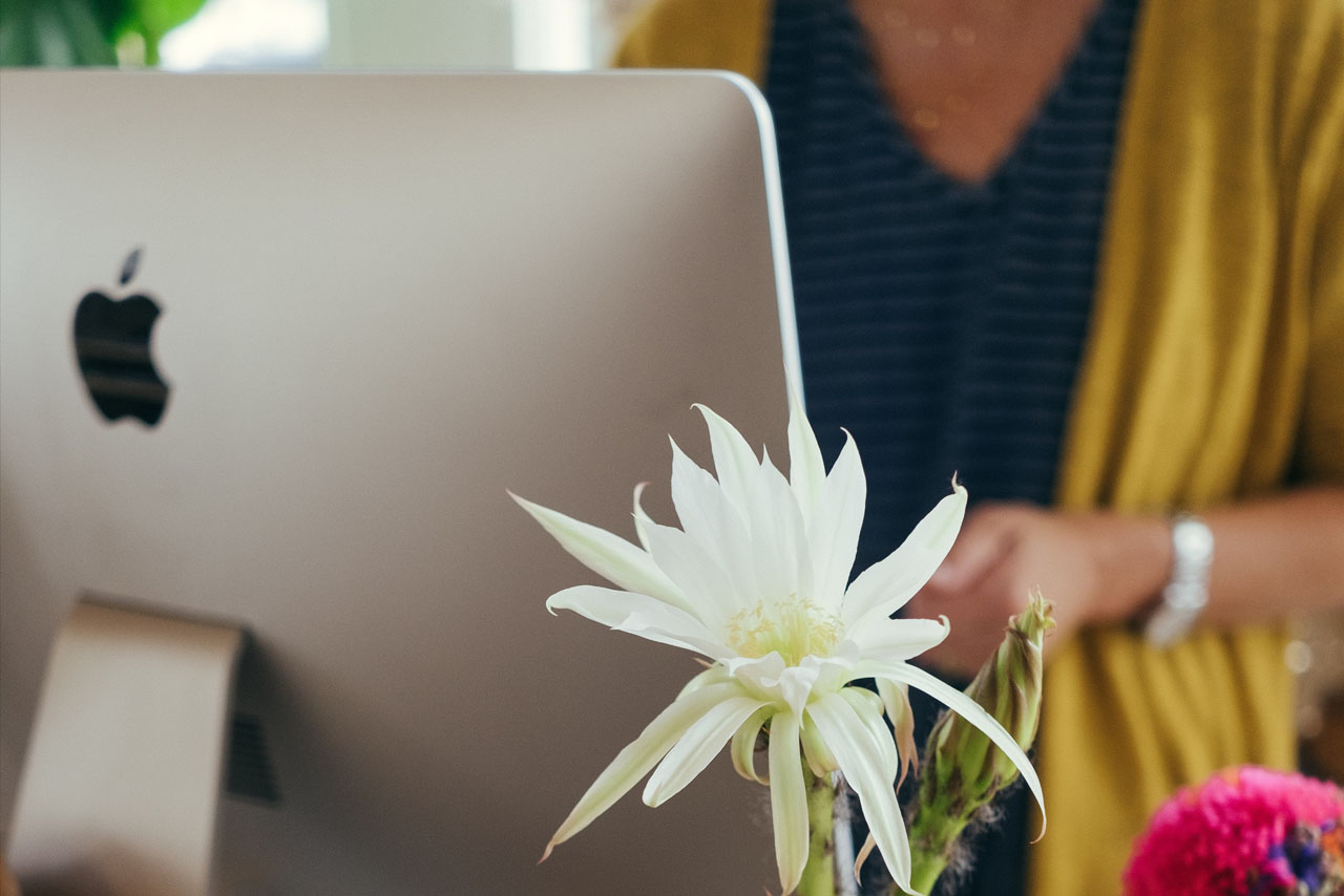 Covid 19 traducteur espagnol